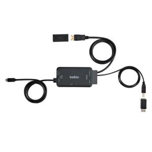 Taa USB-c To Dp/USB/device Power Net Cable V