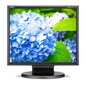 Desktop Monitor - Multisync E172m - 17in - 1280x1024 (sxga) - Black
