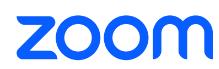 Zoom One - Pro - 3 Year Prepay (PAR1PROBASENH3Y)